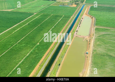 Vista aerea della canna da zucchero terreni agricoli vicino a Bundaberg, Queensland, Australia Foto Stock