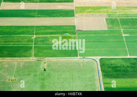 Vista aerea della canna da zucchero terreni agricoli vicino a Bundaberg, Queensland, Australia Foto Stock