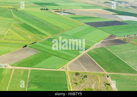 Vista aerea della canna da zucchero terreni agricoli vicino a Bundaberg, Queensland, Australia Foto Stock