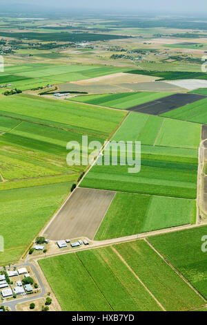 Vista aerea della canna da zucchero terreni agricoli vicino a Bundaberg, Queensland, Australia Foto Stock