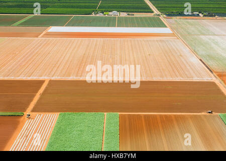 Vista aerea delle superfici agricole coltivate per la canna da zucchero vicino a Bundaberg, Queensland, Australia Foto Stock