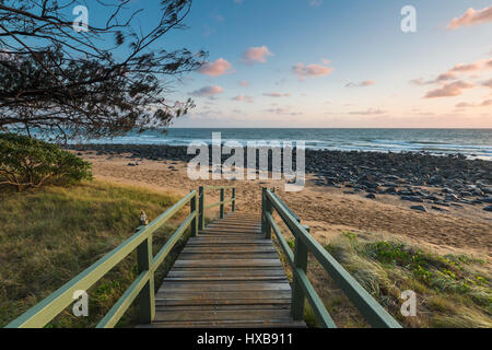 Visualizza percorso di discesa alla spiaggia di Mon Repos all'alba. Bundaberg, Queensland, Australia Foto Stock