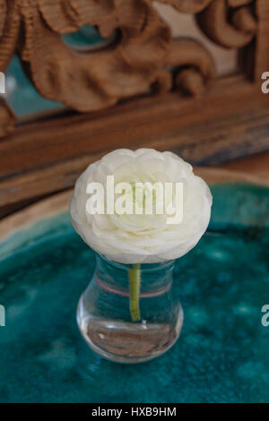 Ranunculus Bianco fiore in un bicchiere di acqua messo sul vassoio in ceramica di fronte mirrow decorate con legno intagliato Foto Stock