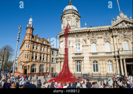 La finestra di pianto di papaveri a Hull Maritime Museum di Kingston Upon Hull, Regno Unito città della cultura 2017 Foto Stock