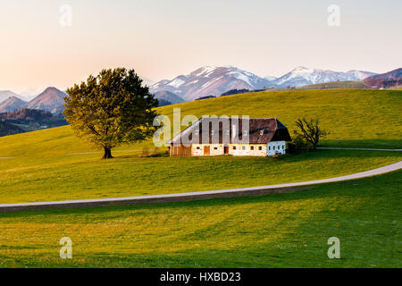 Splendida montagna con cabina Ybbs Alpi in background Foto Stock