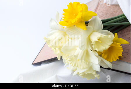 Giallo fiori di narciso su un open libro vintage Foto Stock