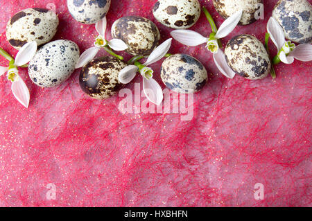Uova di quaglia e snowdrop fiori su sfondo rosso Foto Stock