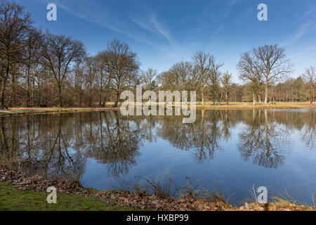 Vista sul laghetto vicino al 'Jachthuis Sint-Hubertus' nel Parco Nazionale di Hoge Veluwe, Paesi Bassi Foto Stock