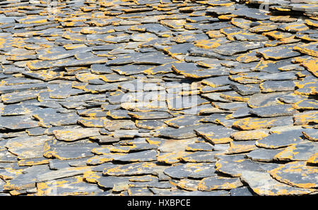 Padiglione costruito da pietre di scisto. Texture di sfondo. Shenako villaggio nella regione di Tusheti. La Georgia Foto Stock