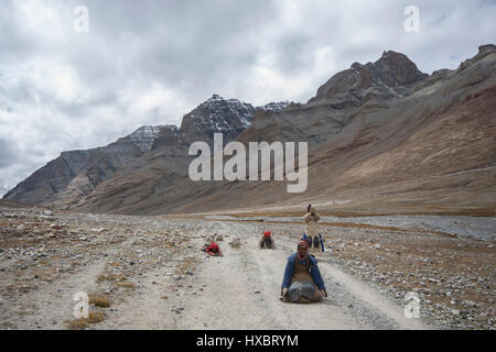 Gruppo di pellegrini tibetani circumambulating Monte Kailash eseguendo il corpo pieno prostrations Foto Stock