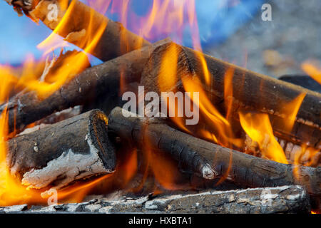 Carboni Ardenti in BBQ o nel telaio di sfondo e texture. Foto Stock