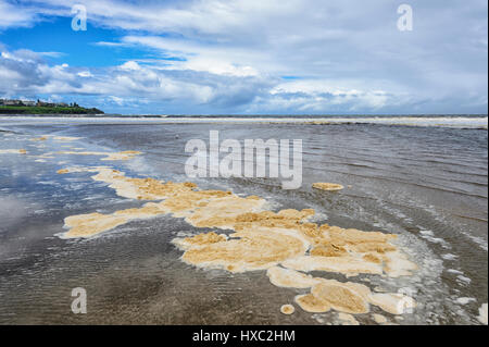 Schiuma di Mare a Crooked foce, Gerroa, Illawarra Costa, Nuovo Galles del Sud, NSW, Australia Foto Stock