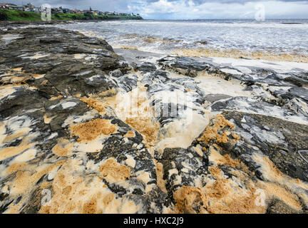 Schiuma di mare sulla spiaggia dopo una tempesta, Seven Mile Beach, Gerroa, Illawarra Costa, Nuovo Galles del Sud, NSW, Australia Foto Stock