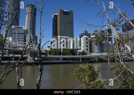 Brisbane, Australia: uffici e appartamenti torre sopra il fiume Brisbane e Riverside Expressway. Foto Stock