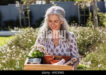 Sorridente donna matura portante vassoio di giardinaggio nel giardino soleggiato Foto Stock