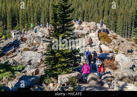 Una zona della valle di dieci picchi a Moraine Lake, il Parco Nazionale di Banff, Alberta, Canada. Foto Stock