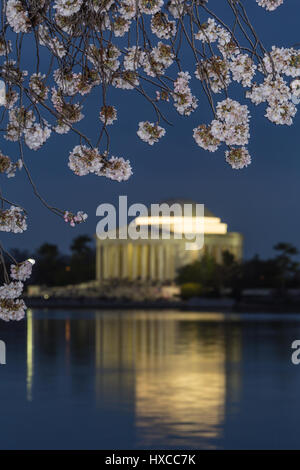 Yoshino albero ciliegio fiorisce il telaio il Jefferson Memorial sul Tidal Basin al crepuscolo in Washington, DC. Foto Stock