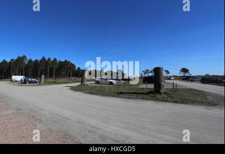 Foresta Tentsmuir parcheggio auto Fife Scozia Marzo 2017 Foto Stock