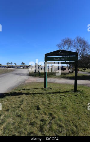 Foresta Tentsmuir parcheggio auto Fife Scozia Marzo 2017 Foto Stock