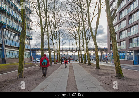 Amburgo, Germania - 15 gennaio 2017 - Verlagshaus Gruner + Jahr (sulla sinistra) è un architettura moderna vicino Niederhafen, Baumwall, sede di th Foto Stock