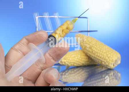 Mano con una siringa e tutolo di mais, mano mit Spritze und Maiskolben Foto Stock