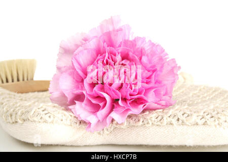 Guanto massaggio con fiore di garofano, Massagehandschuh mit Nelkenbluete Foto Stock