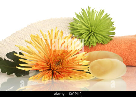 Astri con asciugamano e Guanto massaggio, a poppavia mit Handtuch und Massagehandschuh Foto Stock