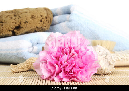 Fiore di garofano con bagno utensili Nelkenbluete mit Badeutensilien Foto Stock