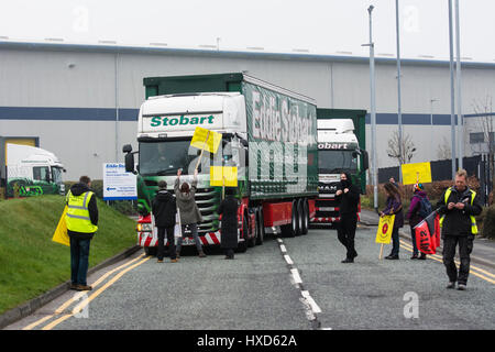 Appleton Thorn, Warrington, Regno Unito. Il 28 marzo 2017. Gli attivisti ambientali, preoccupati per il danno fracking potrebbe fare per la messa a terra, in aria e in acqua di alimentazione, mirati gigante di autotrasporti Eddie Stobarts capo ufficio questa mattina. Stobart camion sono stati testimoni di erogare al controverso esplorativa di gas di scisto fracking sito attualmente in costruzione vicino al Blackpool dove non convenzionali di estrazione di gas company Cuadrilla intendono fracking per gas di scisto. I manifestanti hanno dichiarato che Stobarts vanta un contributo positivo sia per la società e l'ambiente. Credito: Dave Ellison/Alamy Live News Foto Stock