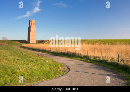 Il Plompe Toren chiesa torre dietro la Schelda orientale dyke in Zeeland, Paesi Bassi. Fotografato nel tardo pomeriggio la luce del sole. Foto Stock