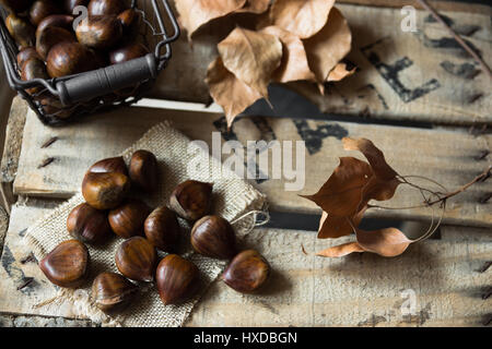 Le castagne fresche nel cesto in filo sparse sulla tela ruvida stoffa, secco foglie marrone,su vintage scatola di legno, autunno autunno, raccolto, atmosfera accogliente,vista superiore Foto Stock