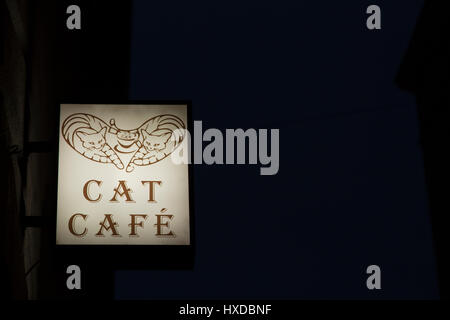 Cat cafe sign in notturna a Budapest Ungheria Foto Stock