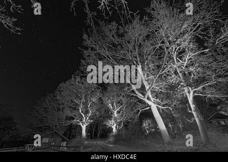 Notte in Siggesta, Värmdö, Svezia Foto Stock