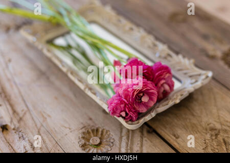 Piccolo bouquet di rosa fiori ranunculus posizionato nel vassoio vintage giacente sul rustico in legno piano portapaziente Foto Stock