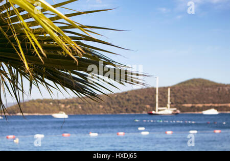 Palm tree con Turkbuku bay in background. Yachts, il mare Egeo e le colline sono in vista. Estate foto dalla penisola di Bodrum. Foto Stock