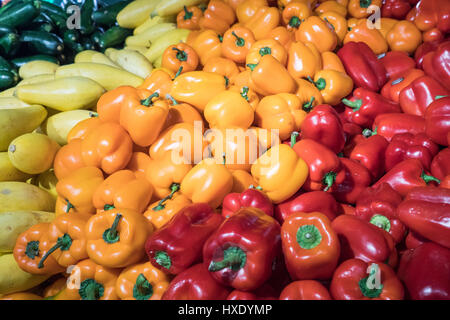 Peperoni freschi e squash a un mercato di fattoria Foto Stock