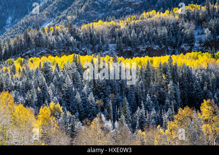 Neve sulla caduta delle foglie nelle montagne di San Juan di Colorado Foto Stock