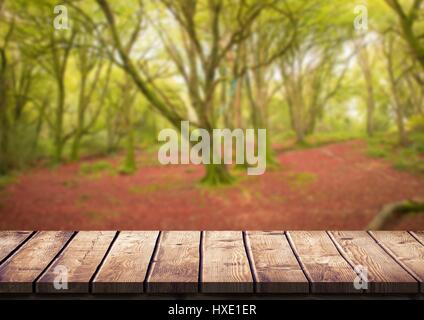 Composito Digitale della tavola di legno contro la foresta sfocato Foto Stock