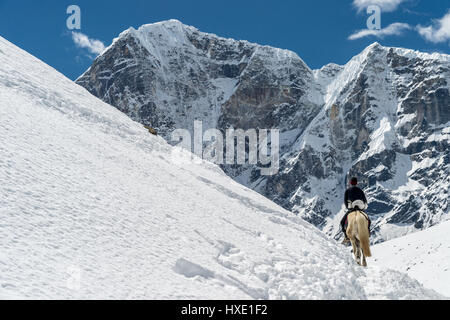 Regione di khumbu, in Nepal - 13 marzo 2015: un sherpa è in sella ad un cavallo con le alte montagne sullo sfondo Foto Stock