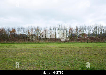 Fila di case dietro gli alberi in Almere. (Improbabile per essere auto-costruire case). Serie Zelfbouw - extra, vari, Paesi Bassi. Architetto: vari, 2015. Foto Stock