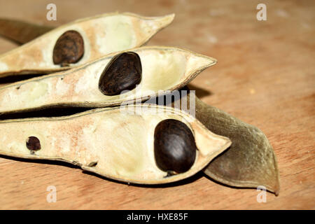 I fagioli secchi del glicine con semi maturi fuoriuscito Foto Stock