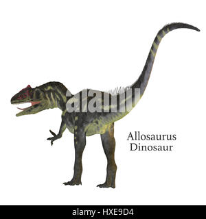 Allosaurus era un carnivoro theropod dinosauro che ha vissuto in Nord America nel Giurassico. Foto Stock