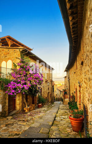 Castiglione della Pescaia, la vecchia strada sul tramonto. Maremma Toscana, Italia Europa Foto Stock