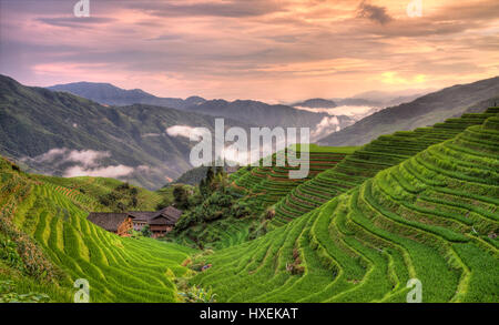 Tramonto pingan longji terrazze di riso Foto Stock