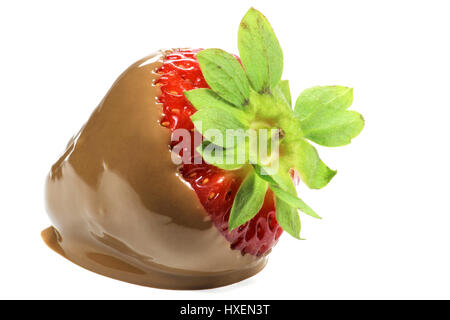 Fragole ricoperte di cioccolato isolato su sfondo bianco Foto Stock