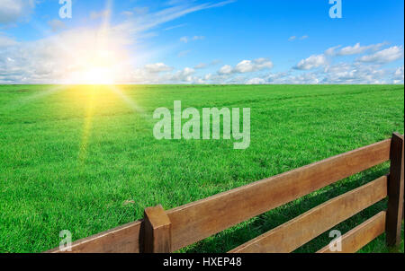 Azienda agricola. Campo con erba e un recinto. Foto Stock