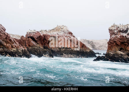 Le Isole Ballestas sono un gruppo di piccole isole vicino alla città di Paracas situato all'interno del distretto di Paracas del Pisco provincia nella Ica Regio Foto Stock