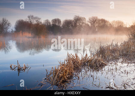 La nebbia che si erge da un laghetto in Barton-su-Humber, North Lincolnshire, inizio su una mattina di primavera nel marzo 2017. Foto Stock