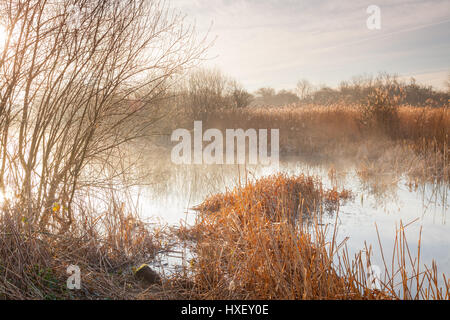 La nebbia che si erge da un laghetto in Barton-su-Humber, North Lincolnshire, inizio su una mattina di primavera nel marzo 2017. Foto Stock