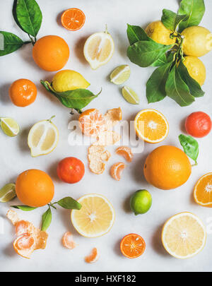 Varietà di agrumi freschi per rendere frullato sano Foto Stock